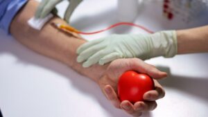 bras d'une personne qui tient un coeur en mousse rouge. Une autre main gantée tient du matériel de don de sang.